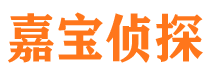 汝南找人公司